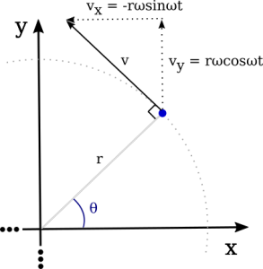 Circular motion - tangential velocity vector