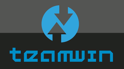 teamwin logo
